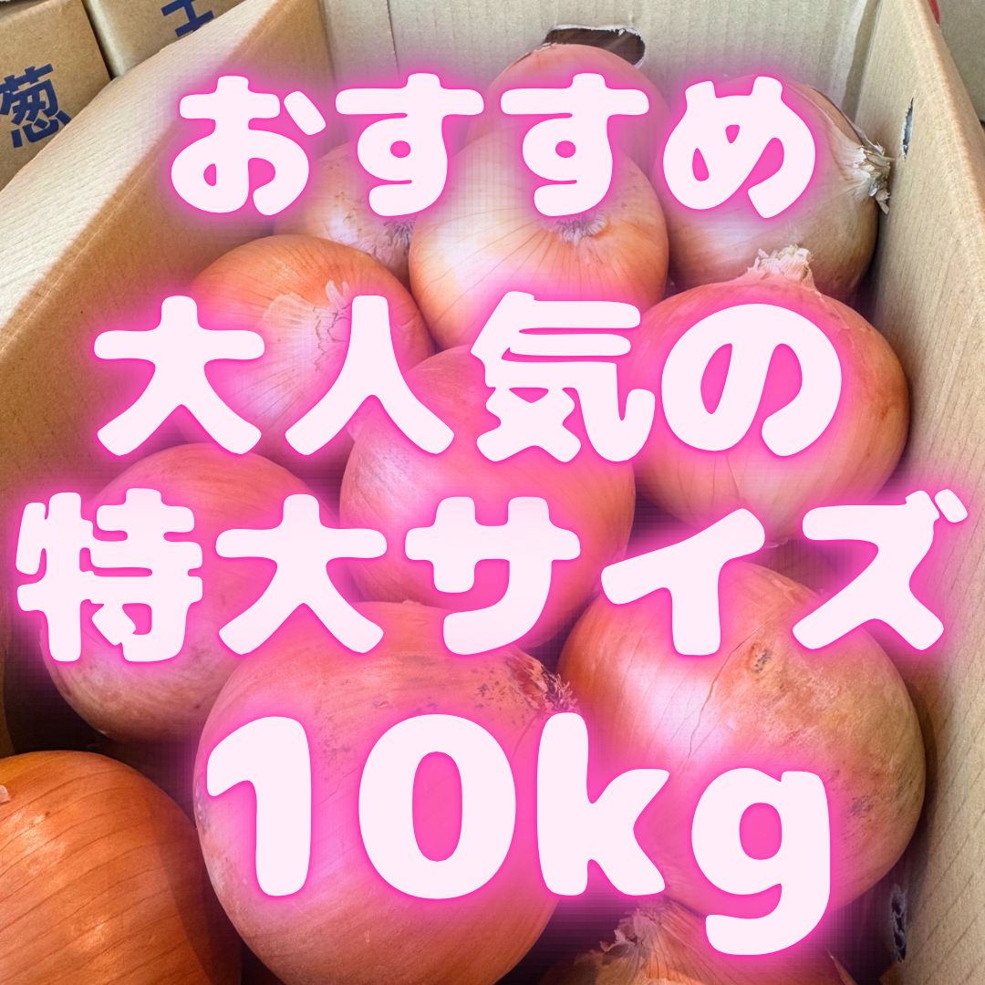 10kg】特大サイズ！美味しい玉ねぎ- メルカリ