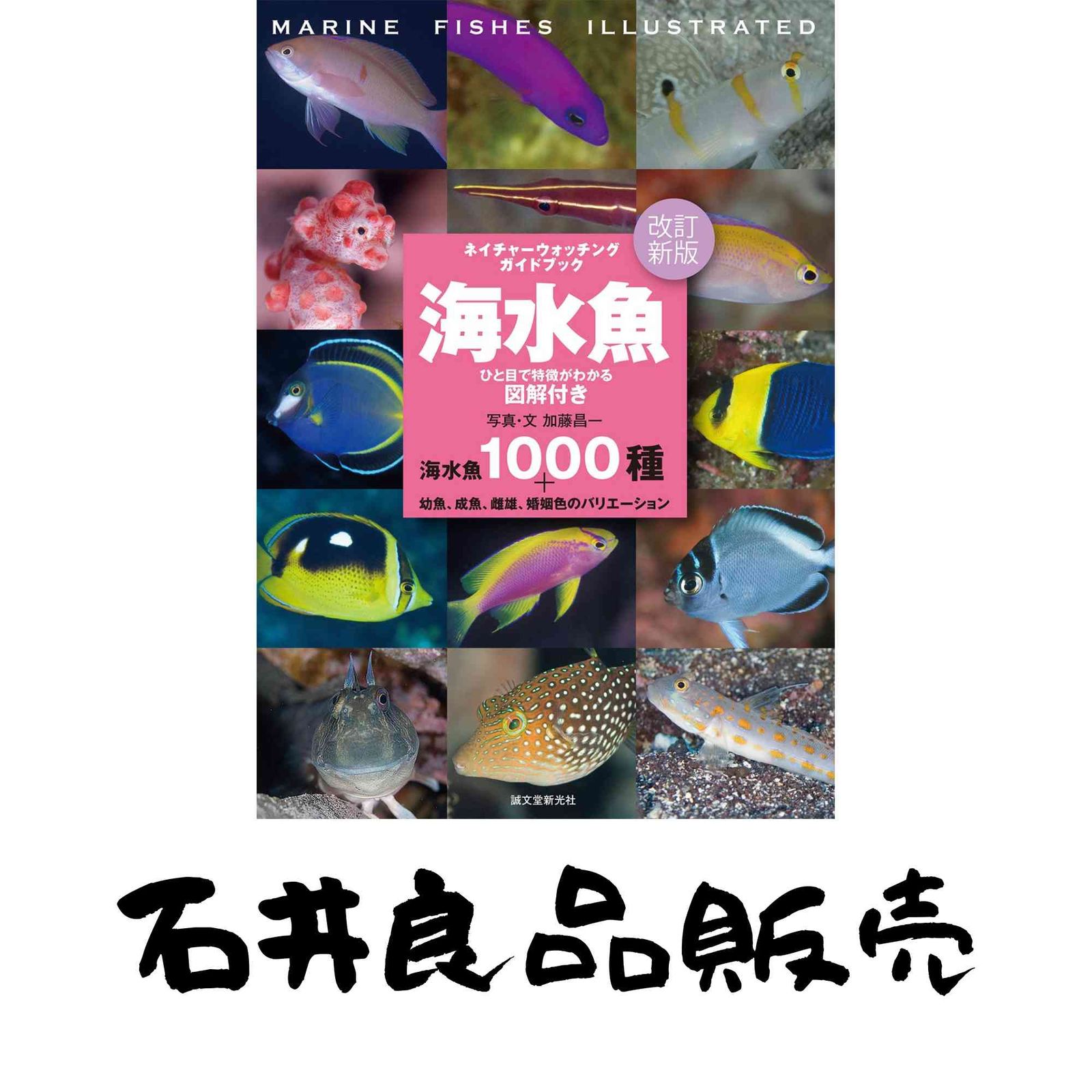 改訂新版 海水魚 (ネイチャーウォッチングガイドブック) [単行本] 加藤