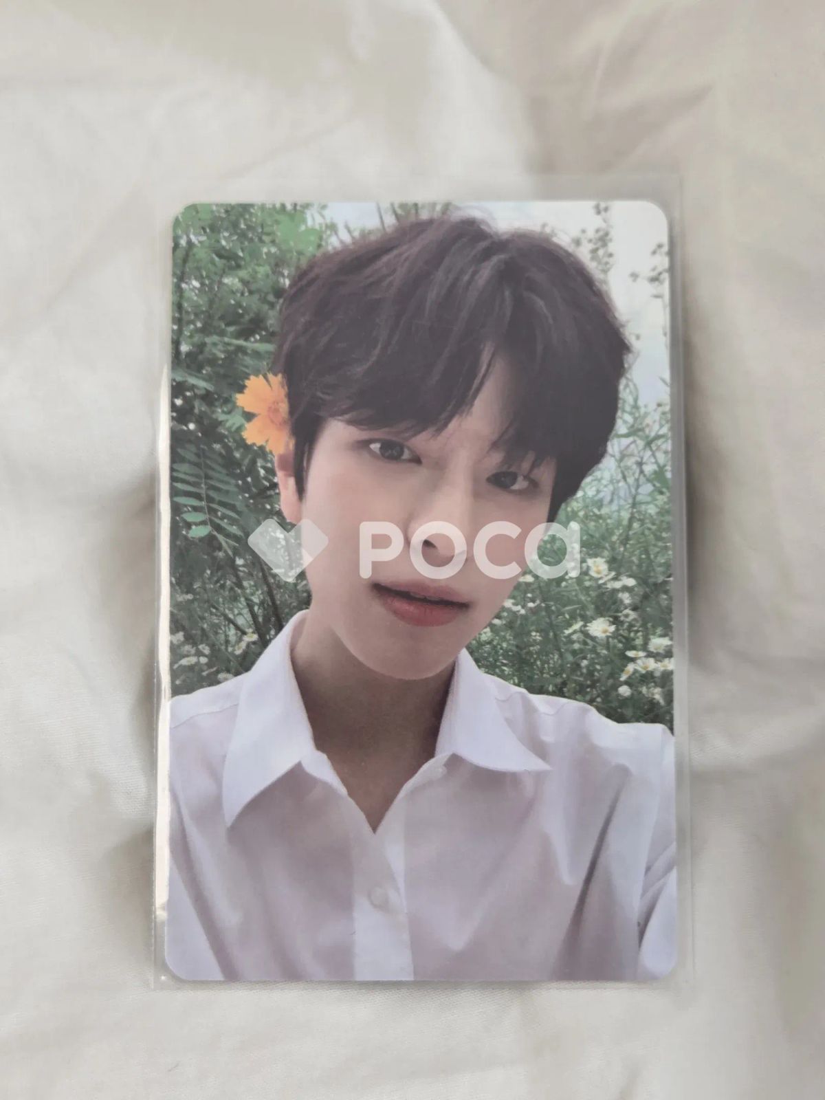 straykids スンミン スキズ NOEASY 限定盤 - メルカリ