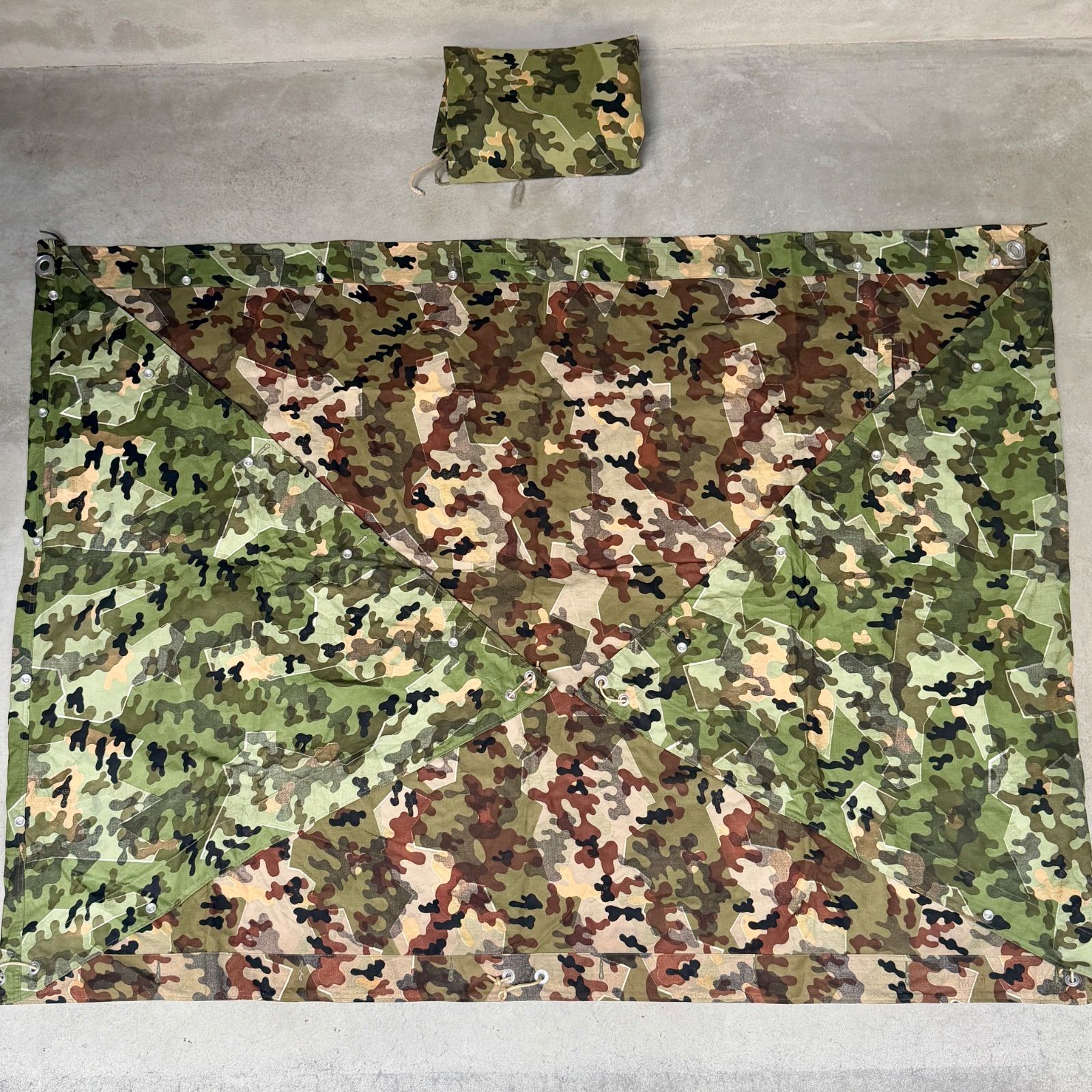 s アメーバカモ