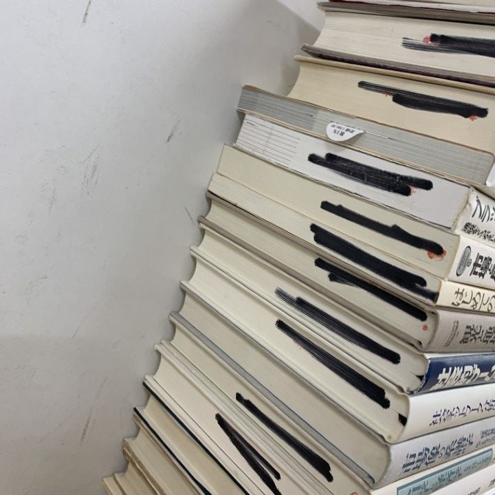 B まとめ売り　よりどり　本　政治　社会　経済　人生　１冊300円 新版 もういちど読む山川政治経済 | 山崎 広明 |本 | 通販 | Amazon