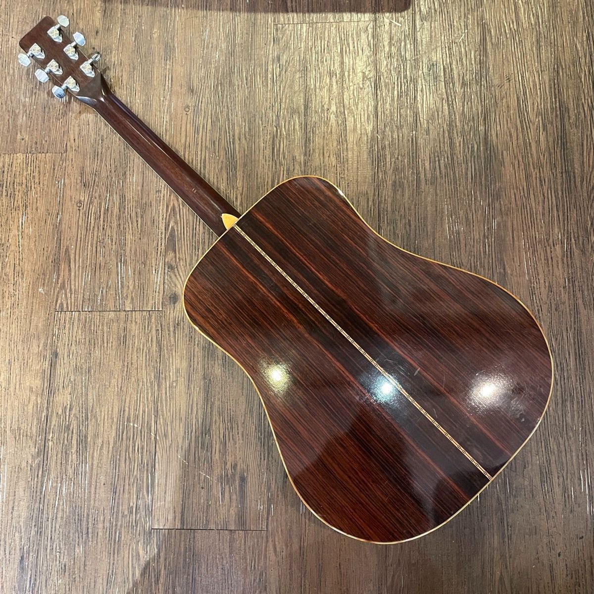 Tokai Cat