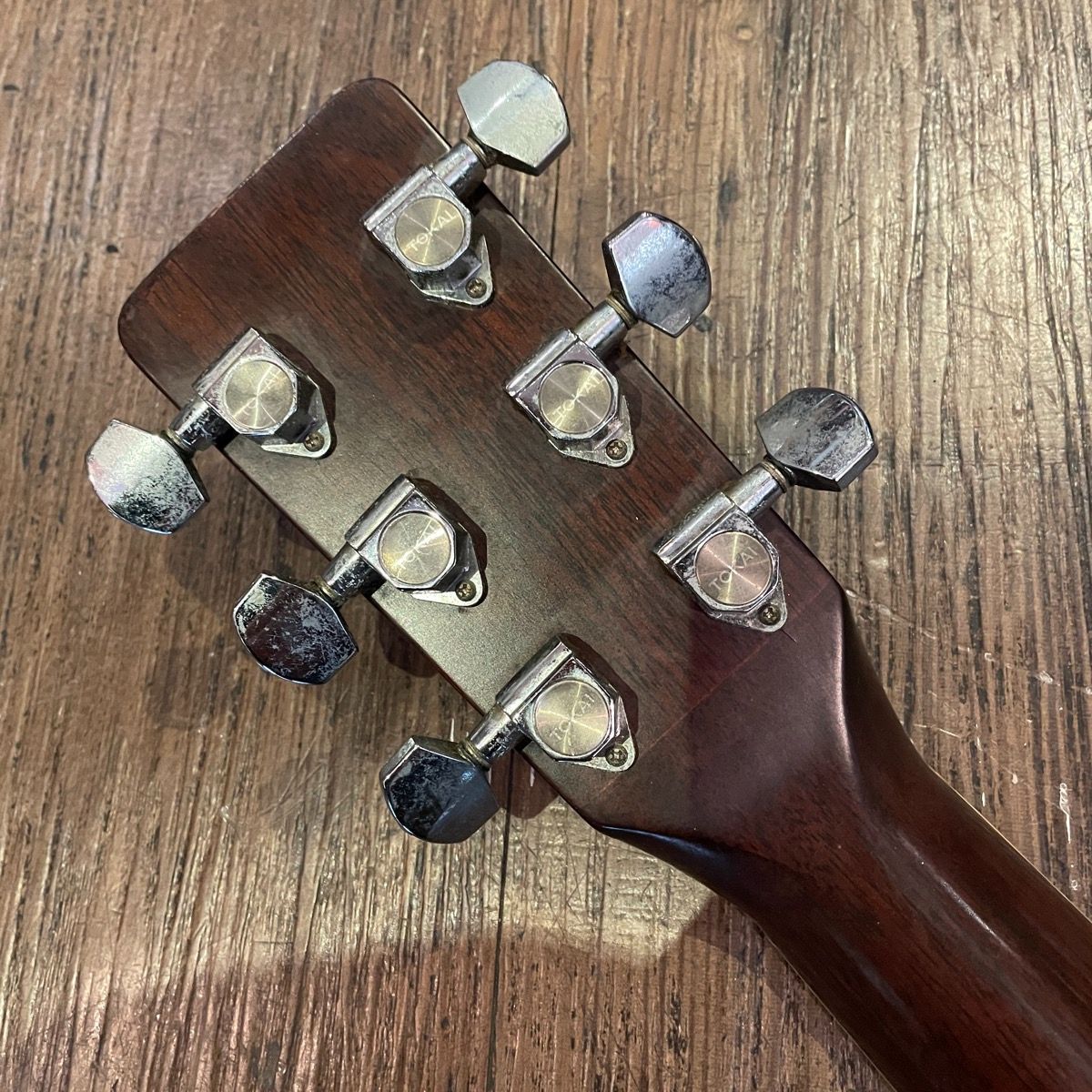 Tokai Cat