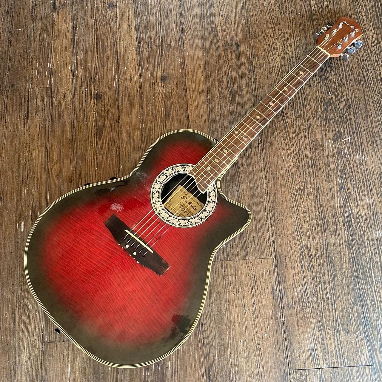 ProMartin EA350 RDS Acoustic Guitar プロマーチン エレクトリック