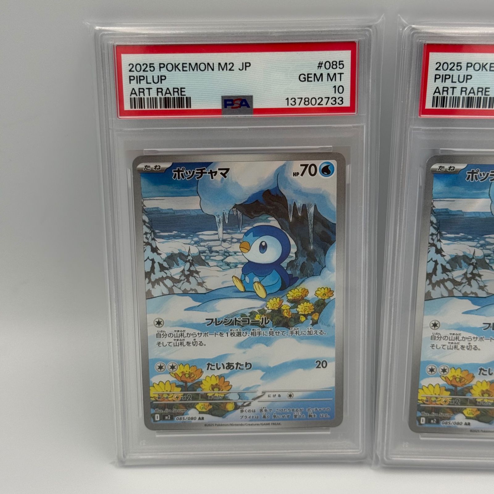 連番】ポッチャマ AR PSA10 - メルカリ