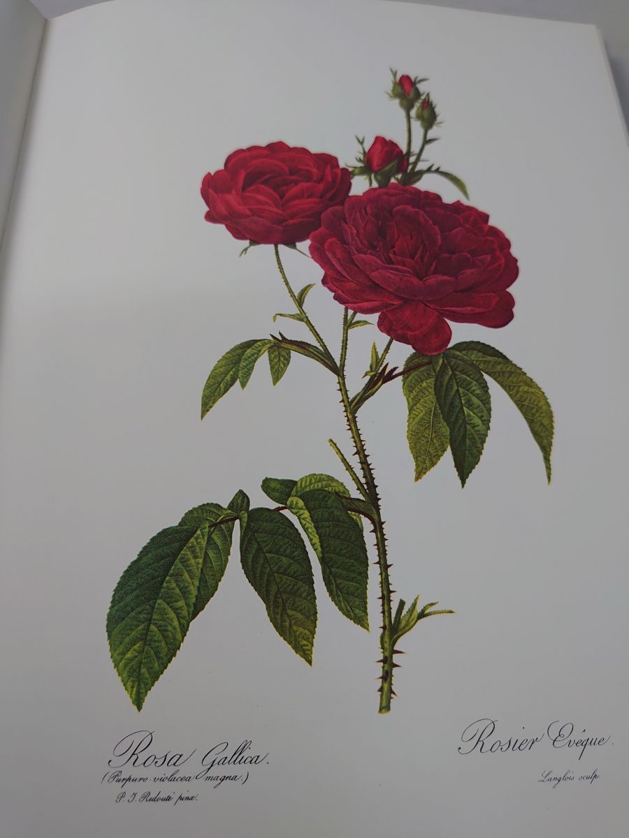 洋書】P J REDOUTE Roses ピエール＝ジョゼフ・ルドゥーテ - メルカリ