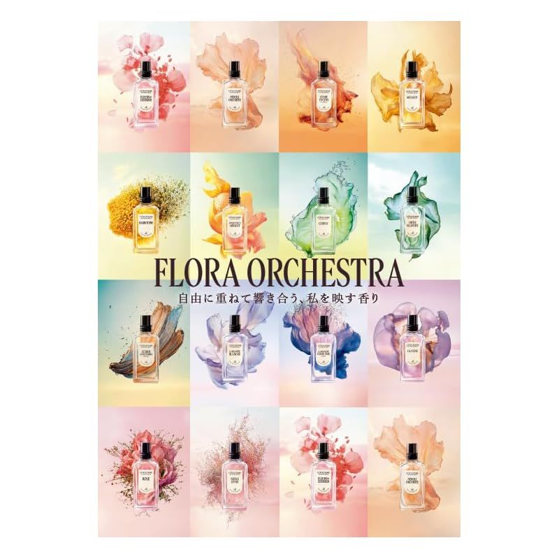 こっこロクシタンセット こっこロクシタンセット L'OCCITANE(ロクシタン) 【ギフトセット】シア