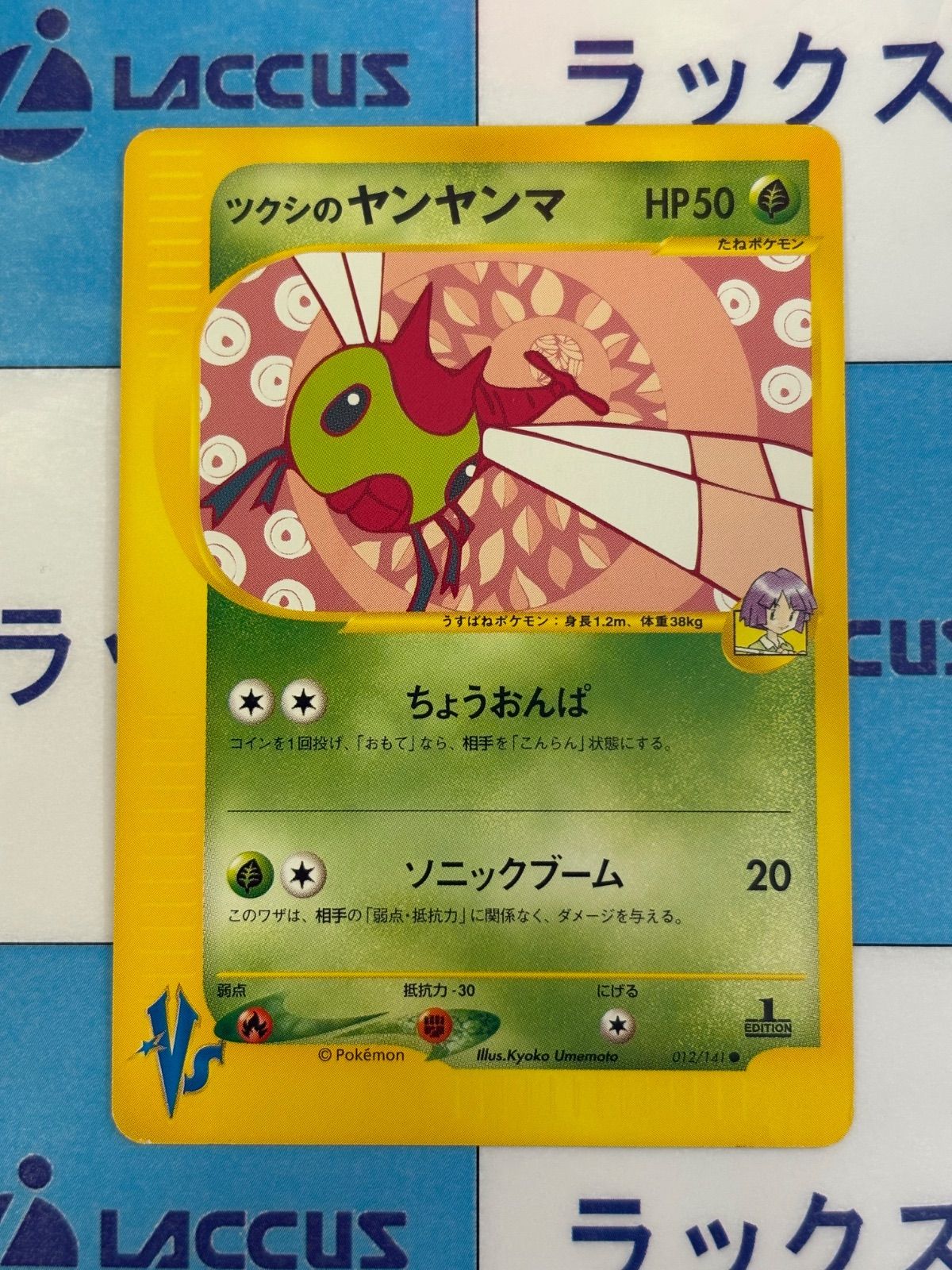 PSA10 ツクシのヤンヤンマ ● ポケモンカード★VS e web PSA10 ツクシのヤンヤンマ ○ ポケモンカード☆VS e web ポケモン