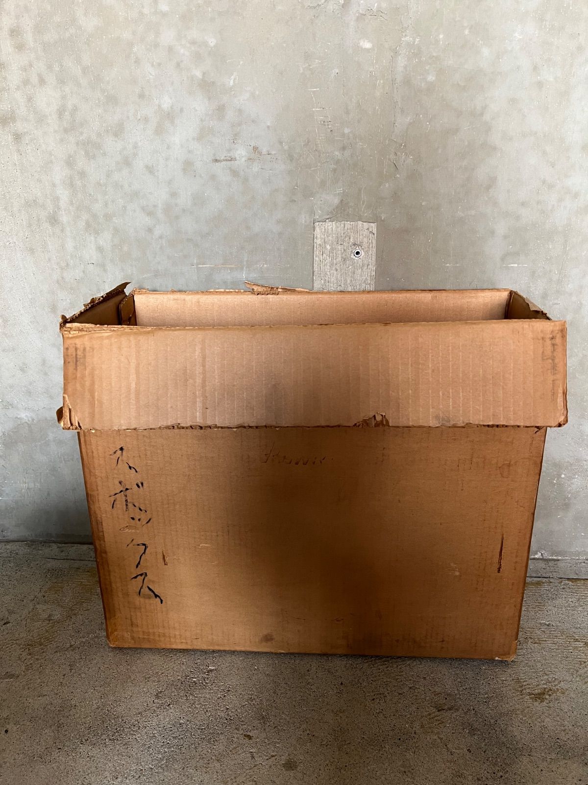 ロゴ クーラーボックス