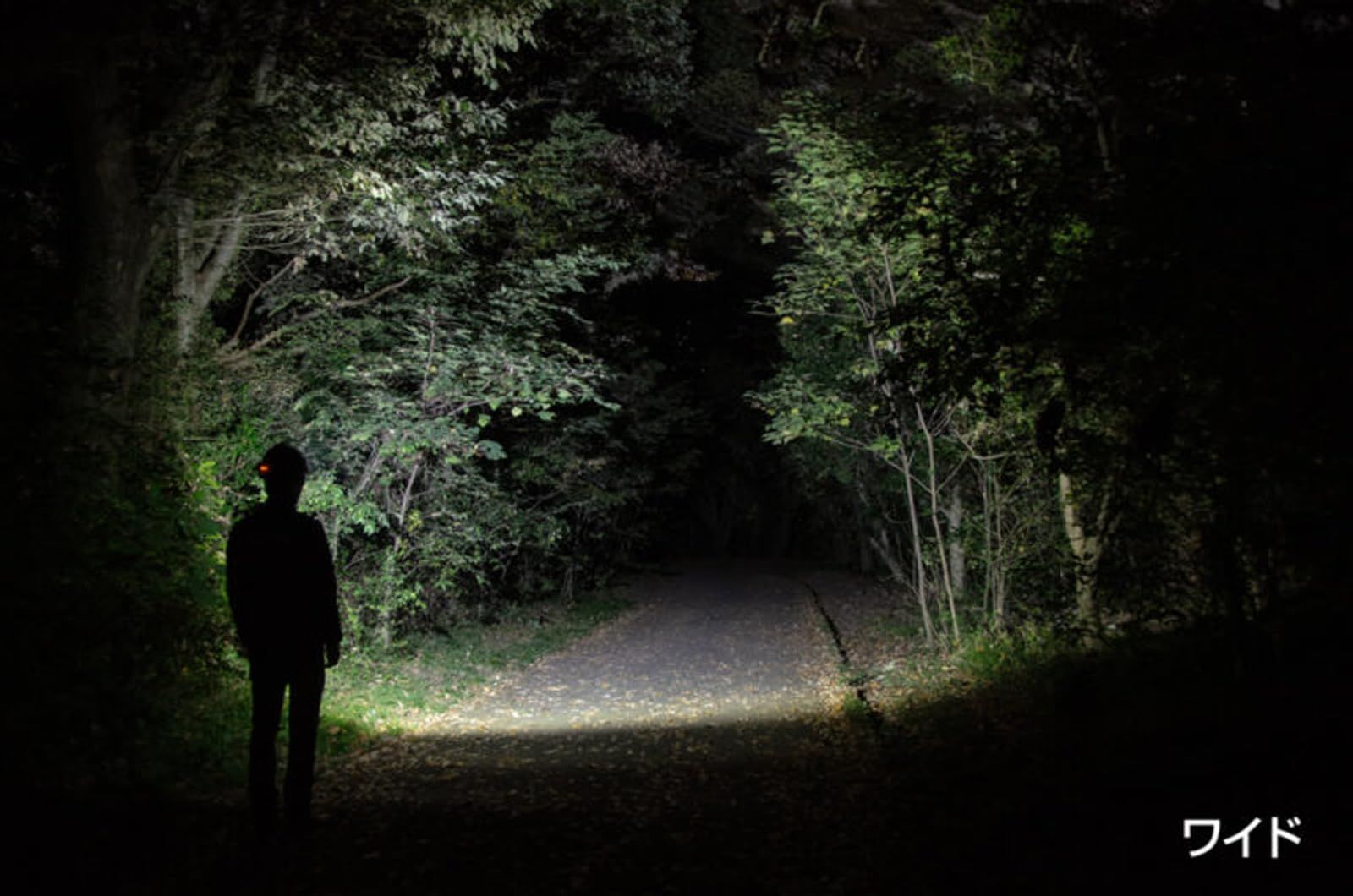 ヘッドウォーズ