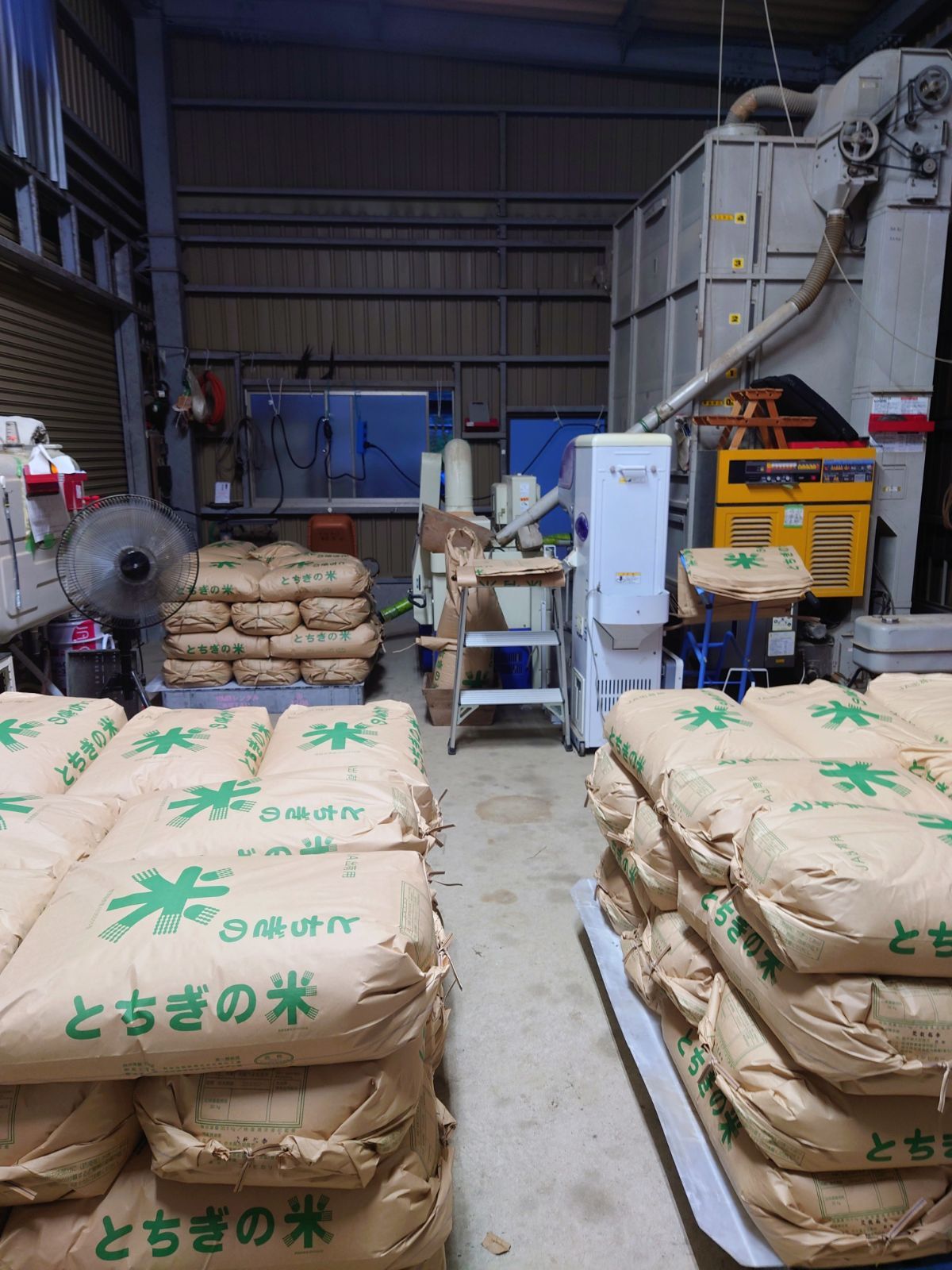 食品 令和7年 新米！精米無料！玄米15キロ 栃木県大田原 黒羽産