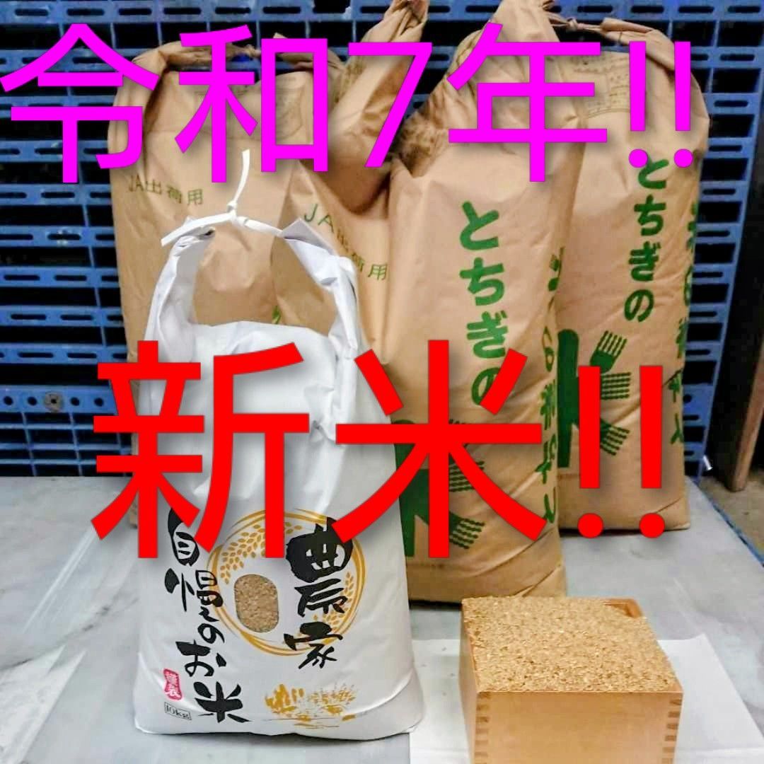 令和7年 新米！精米無料！玄米15キロ 栃木県大田原 黒羽産コシヒカリ