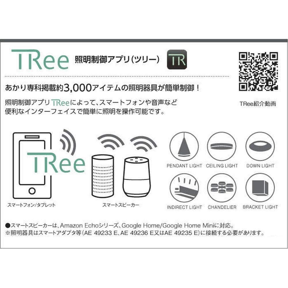  コイズミ照明 勝手口灯 直付 壁付取付 FL 20 W相当 懐中電灯 ハンディライト ライト ランタン