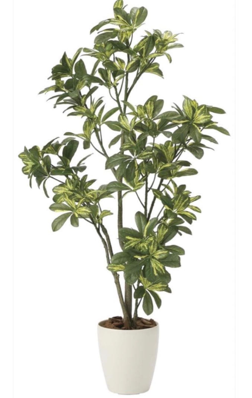 光触媒 人工観葉植物 ウォールグリーン フェイクグリーン シェフレラ