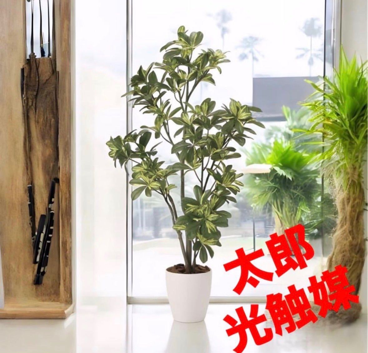 光触媒　人工観葉植物　ウォールグリーン　フェイクグリーン　斑入シェフレラ90 光触媒 人工観葉植物 ウォールグリーン フェイクグリーン シェフレラ