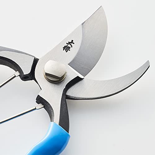 果樹の剪定 生花