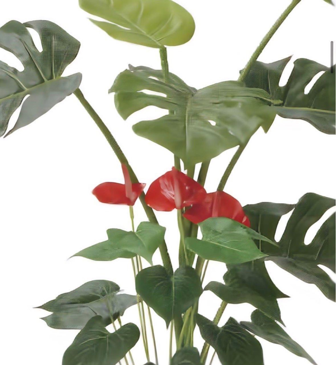 光触媒　人工観葉植物　フェイクグリーン　モンステラ&アンスリューム 95 光触媒 人工観葉植物 ウォールグリーン フェイクグリーン モンステラ