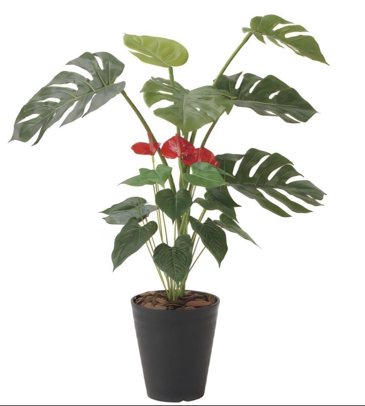 光触媒　人工観葉植物　フェイクグリーン　モンステラ&アンスリューム 95 光触媒 人工観葉植物 ウォールグリーン フェイクグリーン モンステラ