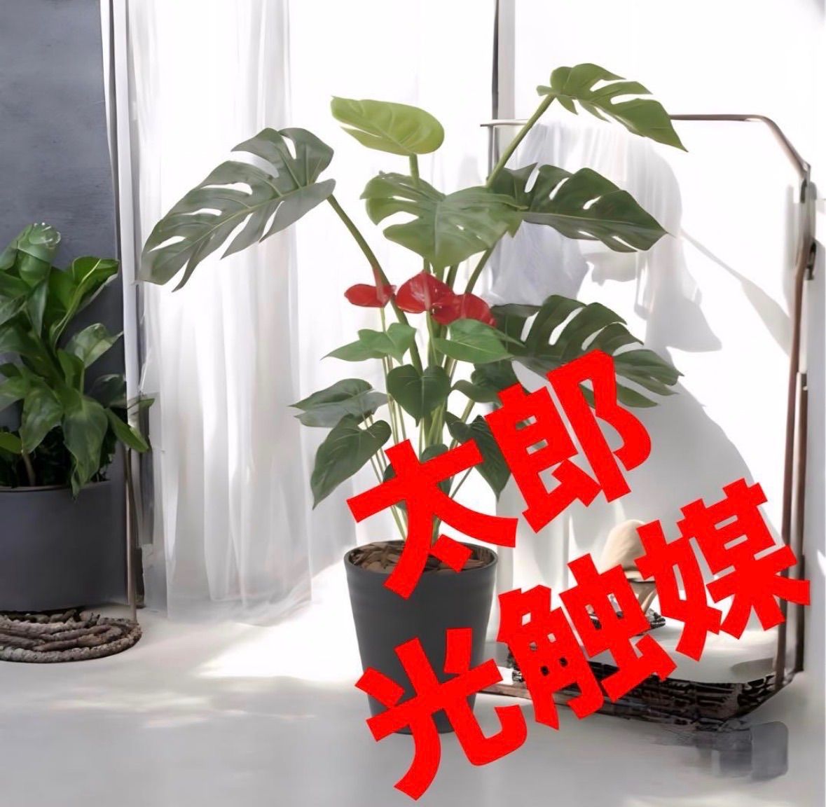 光触媒　人工観葉植物　フェイクグリーン　モンステラ&アンスリューム 95 光触媒 人工観葉植物 ウォールグリーン フェイクグリーン モンステラ