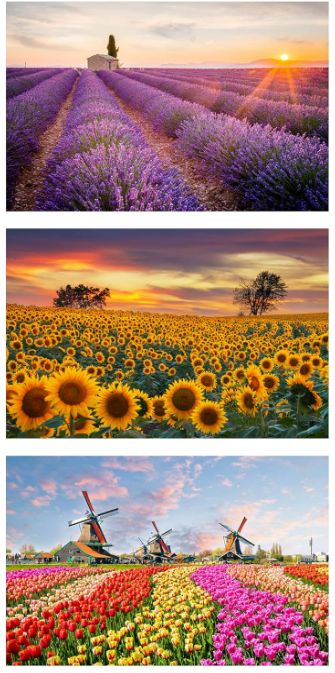 MISITU ジグソーパズル マイクロピース 150ピース パズル ポストカード