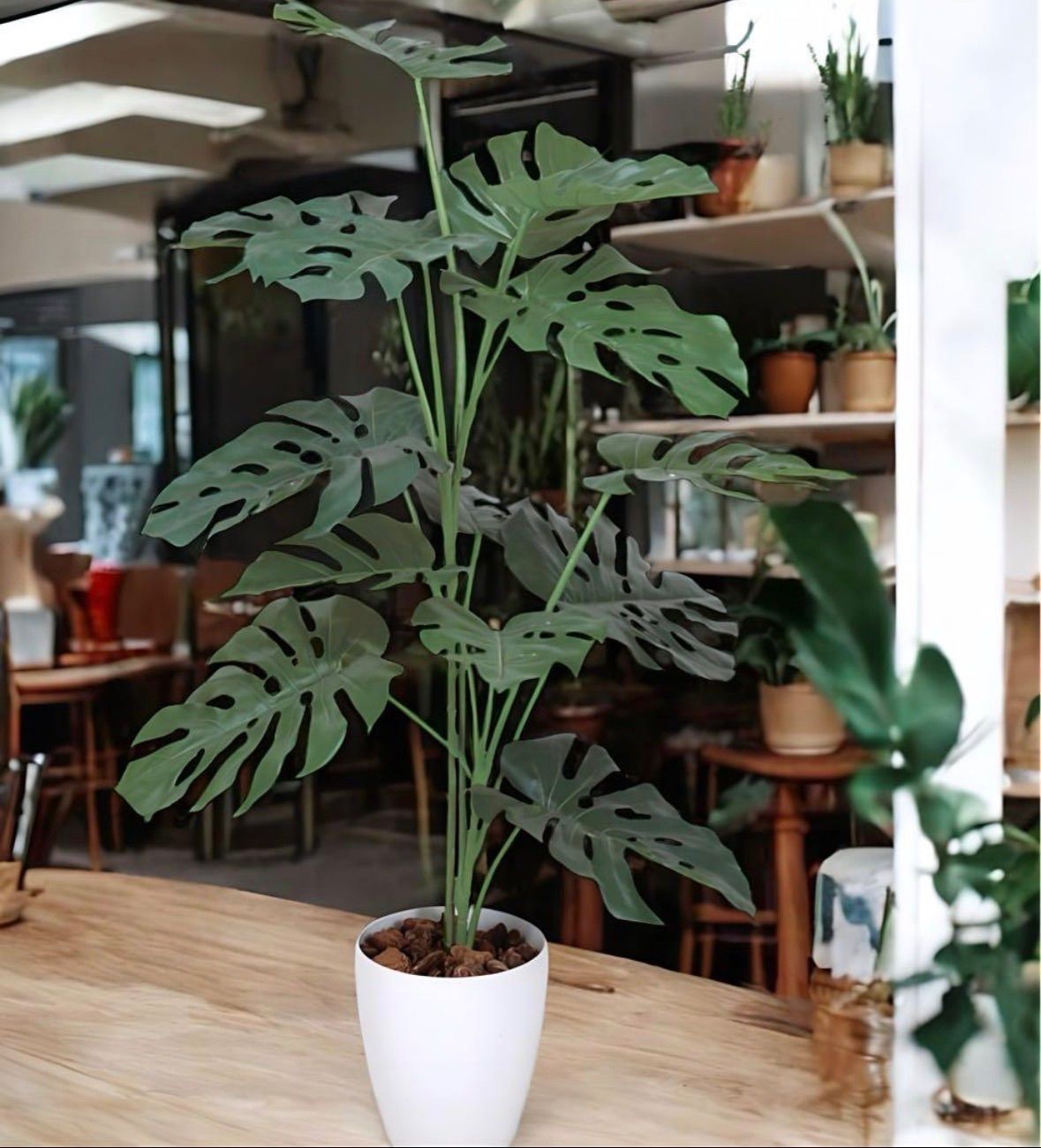 光触媒 人工観葉植物 ウォールグリーン フェイクグリーン モンステラ