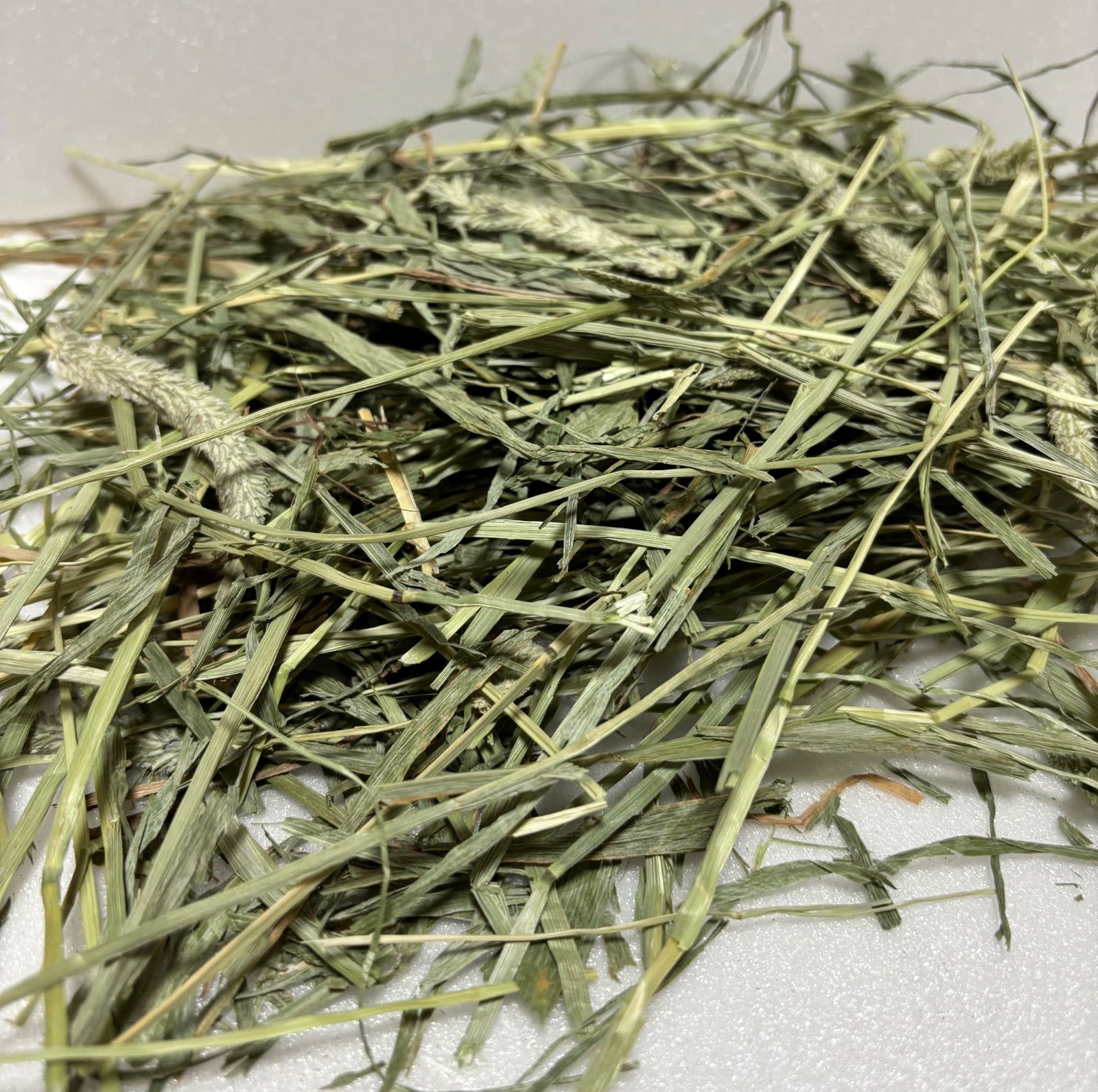 any grass オリジナルチモシーsoft premium 10kg 圧縮 無選別