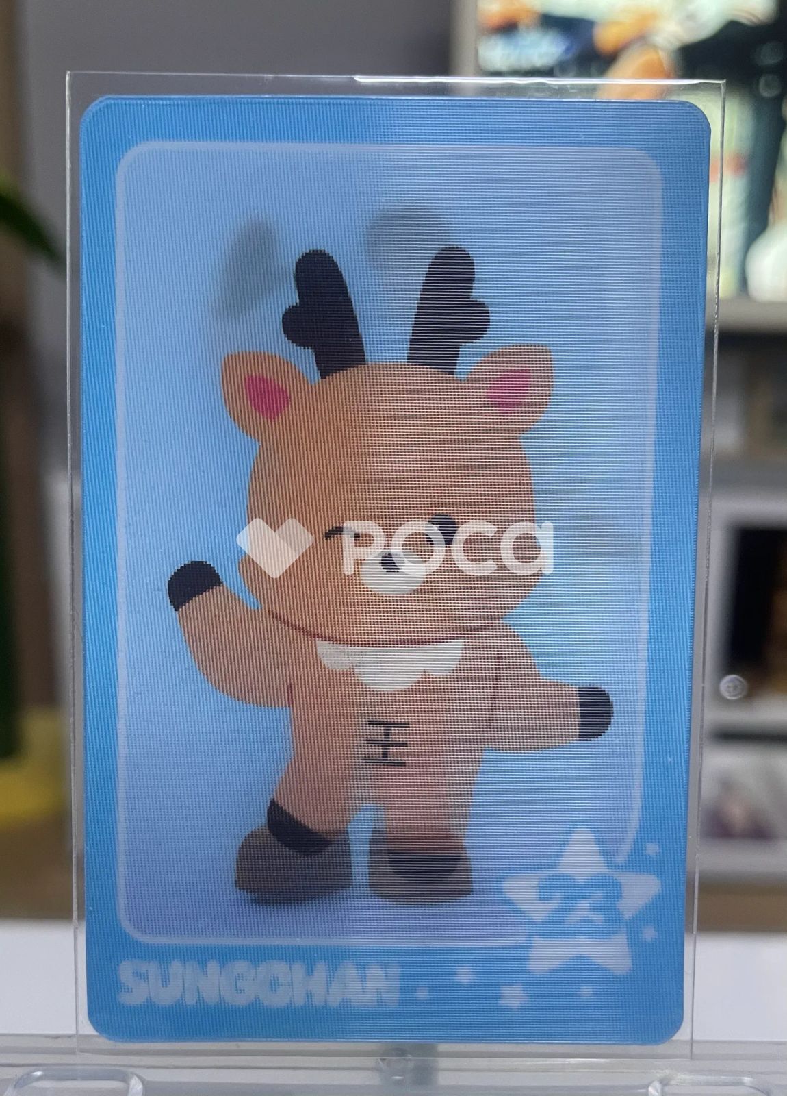 RIIZE ソンチャン WE LITTLE RIIZE @ RIIZE PARK RANDOM TRADING CARD