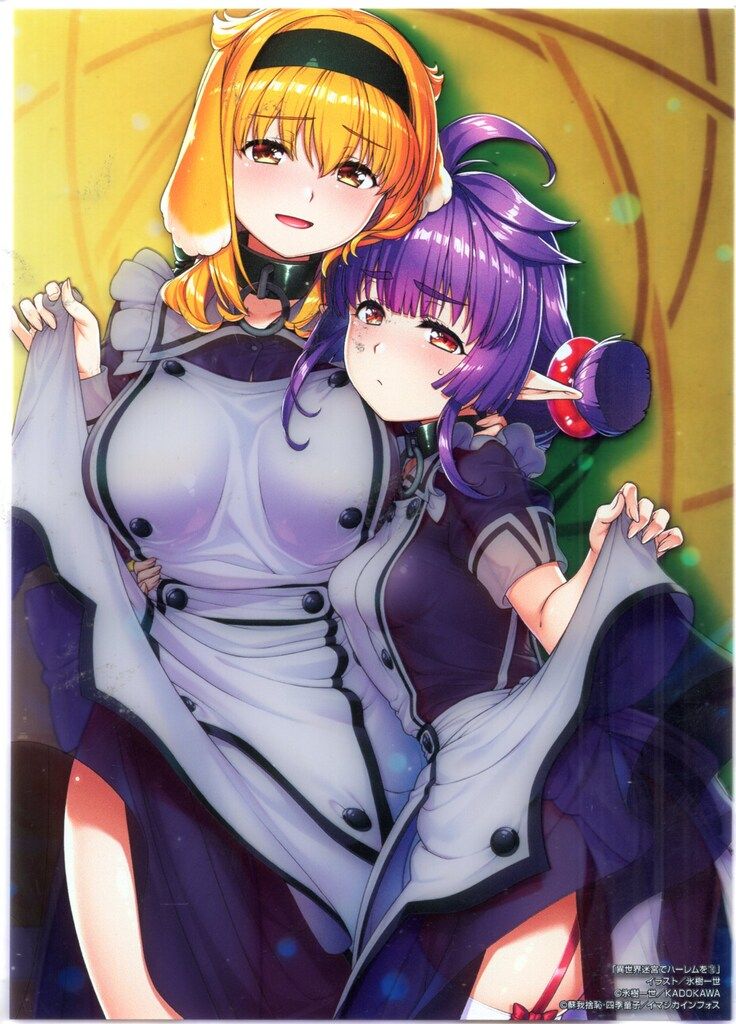 氷樹一世 異世界迷宮でハーレムを 衣装が透けるアクリルプレート アニメイト セット 10