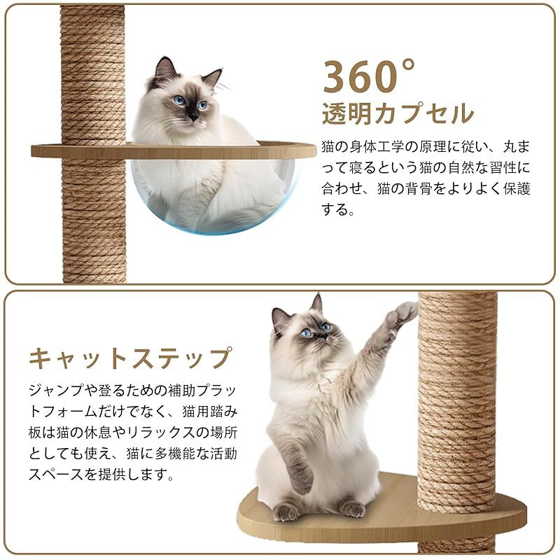 CozyMeow キャットタワー 突っ張り 木製 キャットツリー 木登りタワー