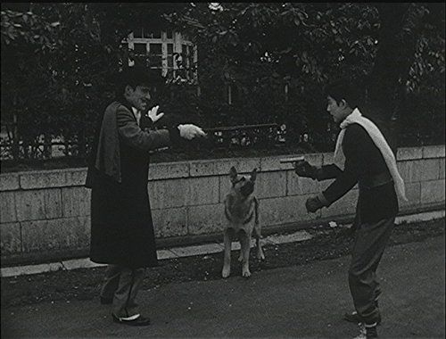 コレクターズDVD