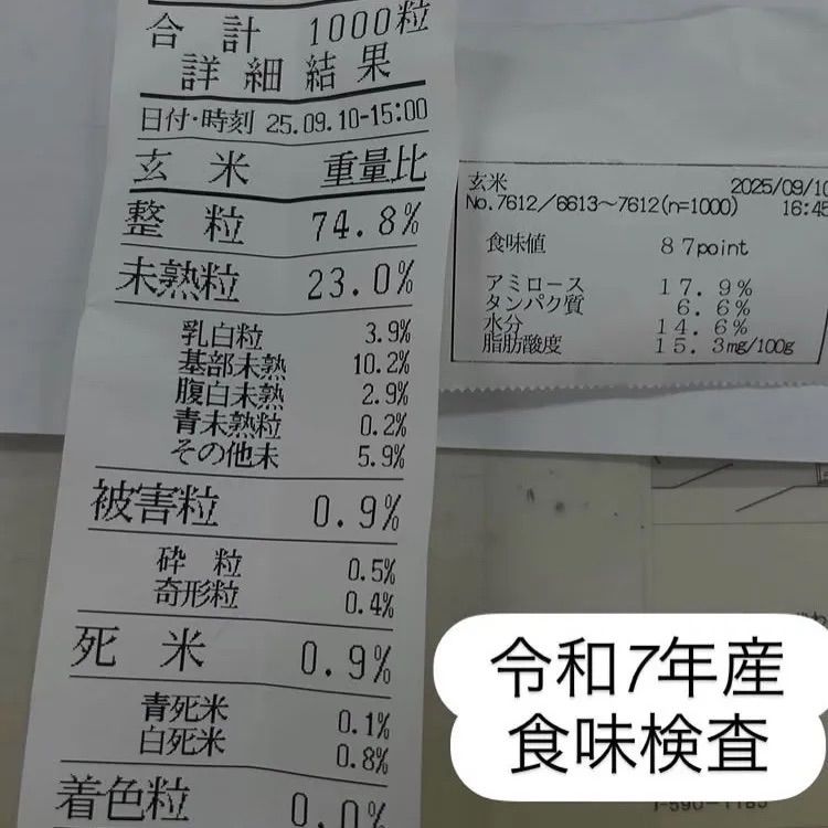 令和7年産 丹波篠山コシヒカリ白米10kg 食味値87点 - メルカリ