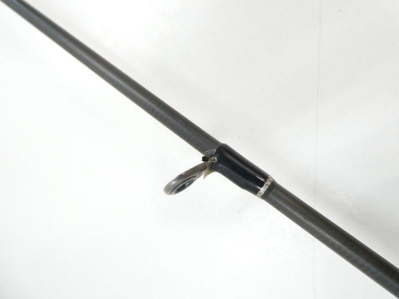 エバーグリーン