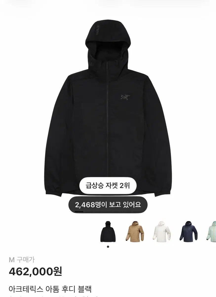 ARC TERYX アークテリクス Atom アトム フーディー ブラック ジャケット