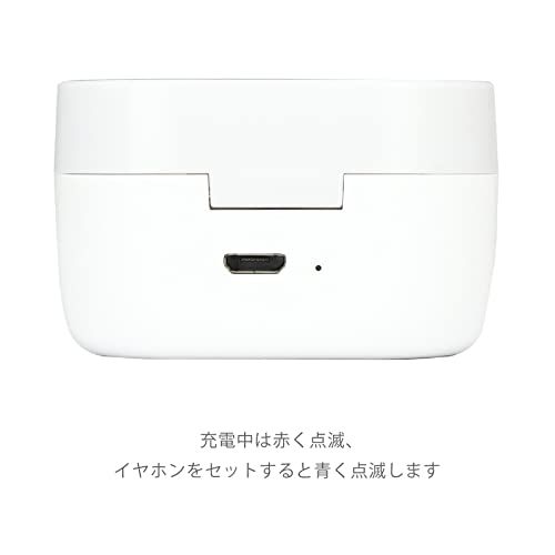 完全ワイヤレスステレオイヤホン