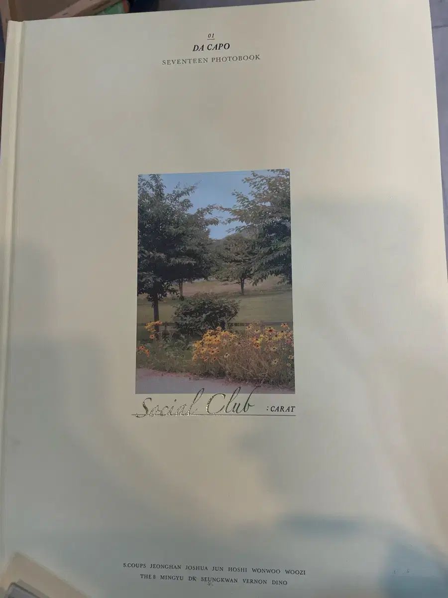 SEVENTEEN(セブンティーン・セブチ) SOCIAL CLUB ソーシャルクラブ