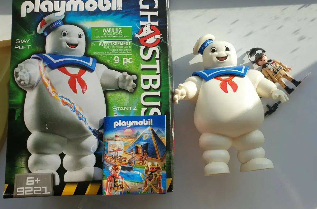 土日値下⭕️ 世界鳥類大図鑑 ネコ・パブリッシング 2009年刊 大判