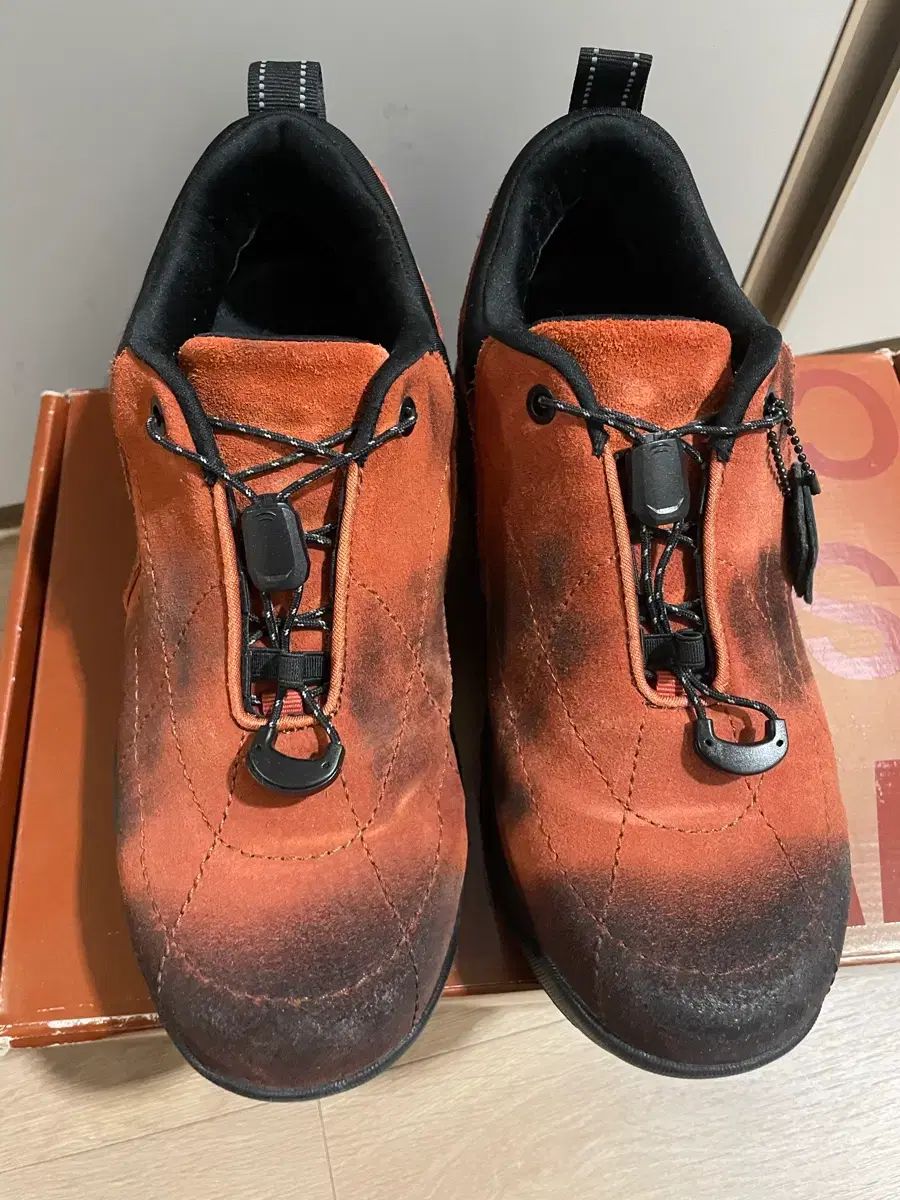 YASE フォレスト ハイキング シューズ 260