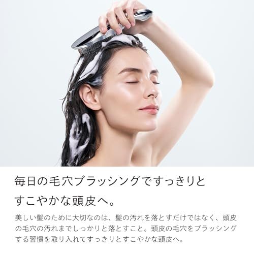 迅速に発送 ストア リファ イオンケア ブラシ ReFa ION CARE BRUSH ショッパー付き 2085 c 1 a 0