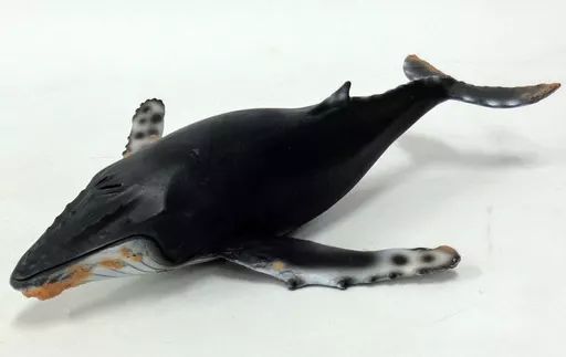 中古】フィギュア ザトウクジラ 「Schleich-シュライヒ-」 Wild life