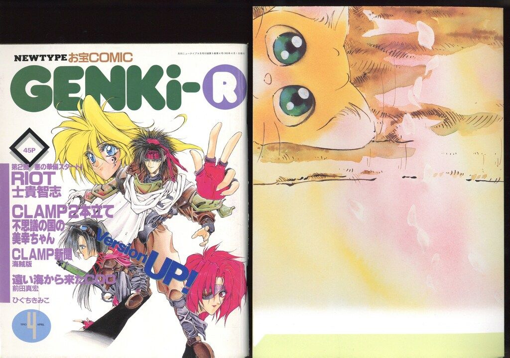 角川book 角川書店 1993年(平成5年)のアニメ雑誌 付録つき Newtype 1993年(平成5