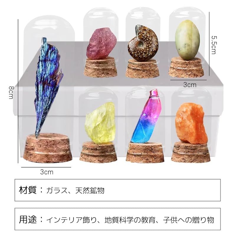 新品】 HIGHAWK岩石標本 天然石 ガラスカバー 鉱石 防塵 置物