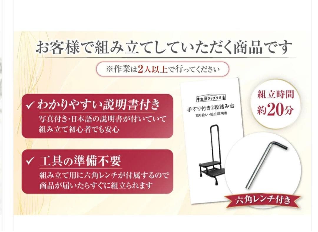  3025 手すり付踏み台２段 樹脂 介護用品 自宅 リフォーム 屋外用はしご 脚立 踏み台 脚立 はしご 足場