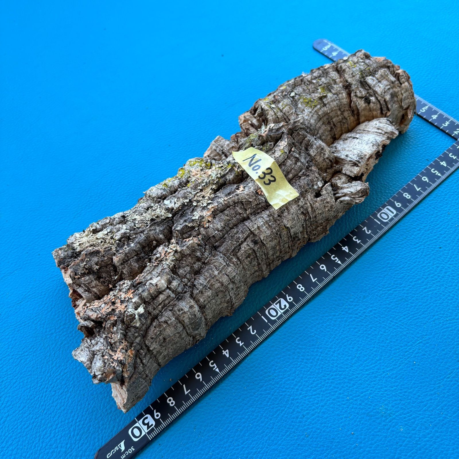 コルク樹皮 4 コルク板 バージンコルク コルク樹皮 ビカクシダ 観葉 