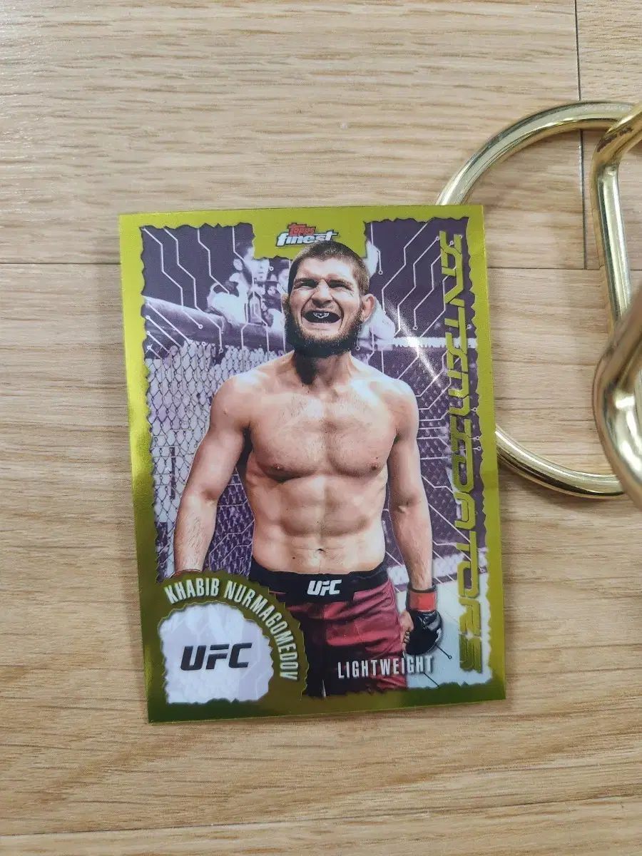 25TOPPSファイニストUFCハビブ・ヌルマゴメドフパラレル格闘技カード