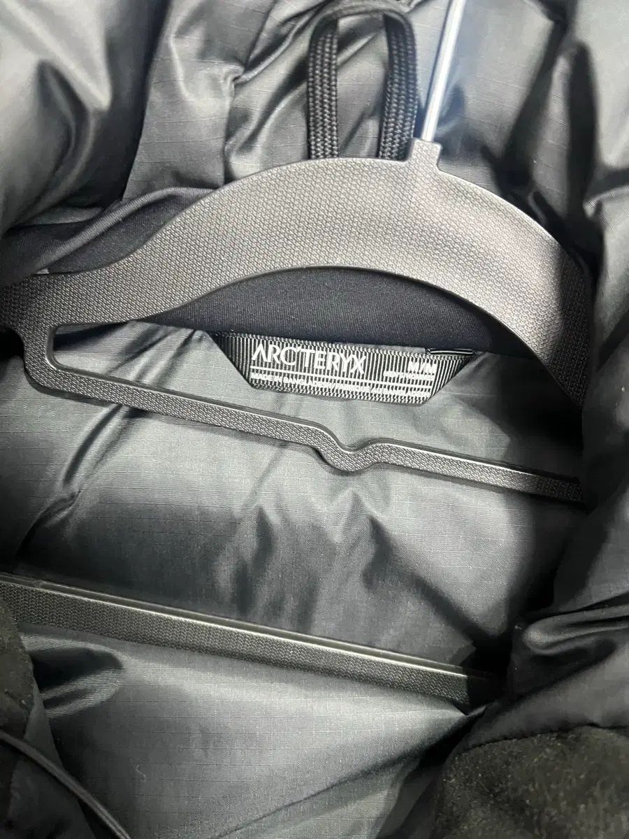 コールド WXフーディ