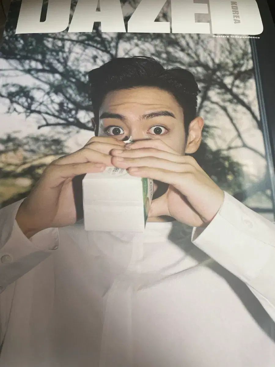 トップス TOP デイズド 雑誌 BIGBANG ビッグバン チェ スンヒョン