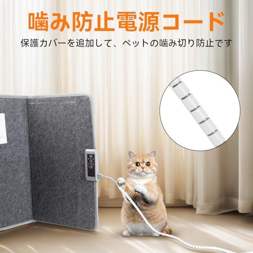 毛布付き 日本語取