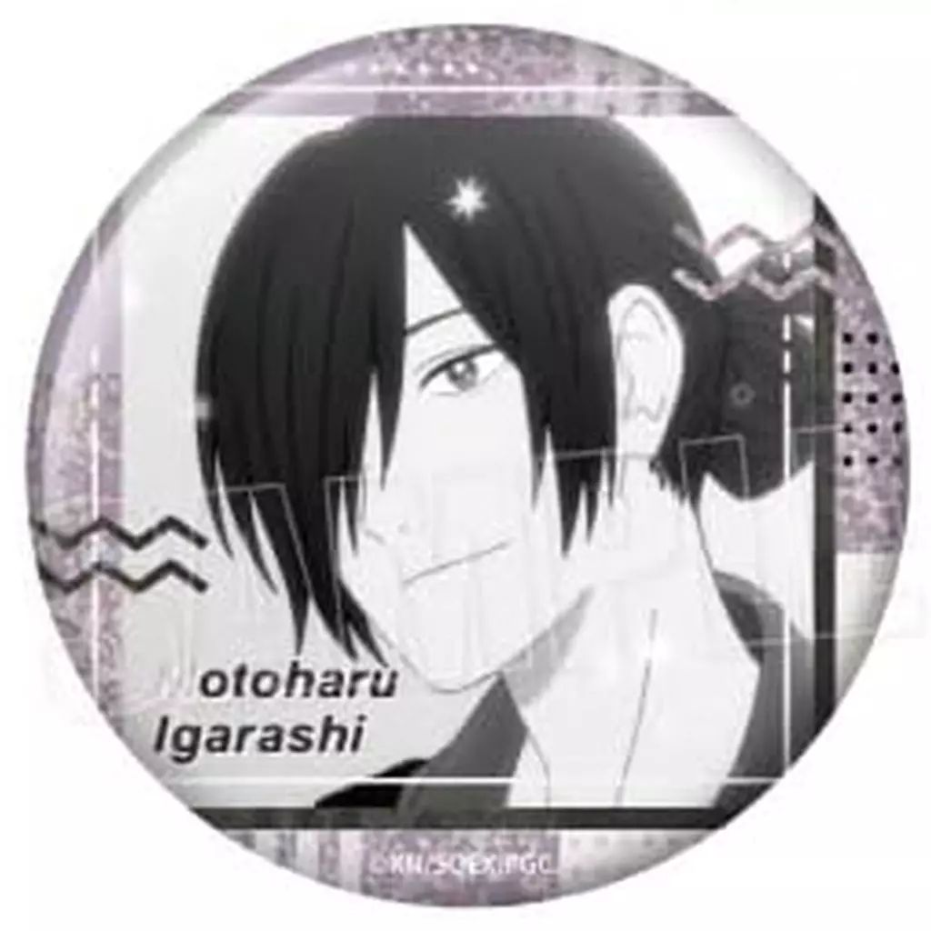 中古】バッジ・ビンズ 五十嵐元晴 「TV アニメ クールドジ男子 ホロEYE