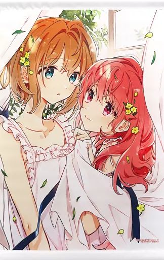 タペストリー カガリ ミミ＆トツキ シーナ 描き下ろしA 3タペストリー コミックス きみが死ぬまで恋をしたい 第5巻 メロンブックス 版 同梱特典