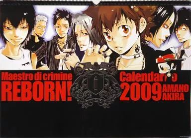 【希少品】家庭教師ヒットマンREBORN 2009年カレンダー 家庭教師ヒットマンREBORN！ 2009-2010 週めくりスクールカレンダー